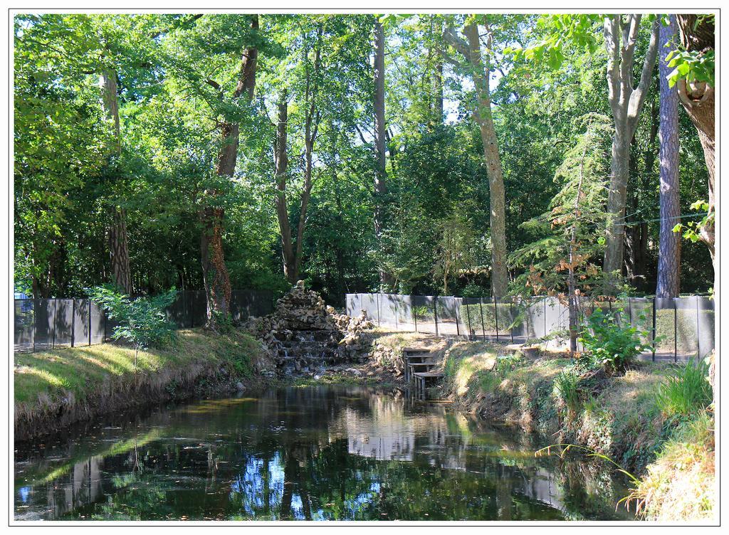 Domaine De Saint Charles Hotel Les Plans Eksteriør billede
